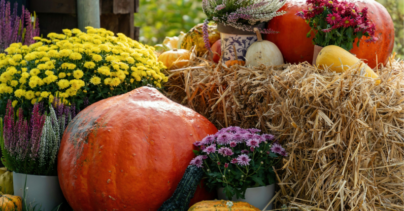2025 Fall Festivals in Atlanta, GA