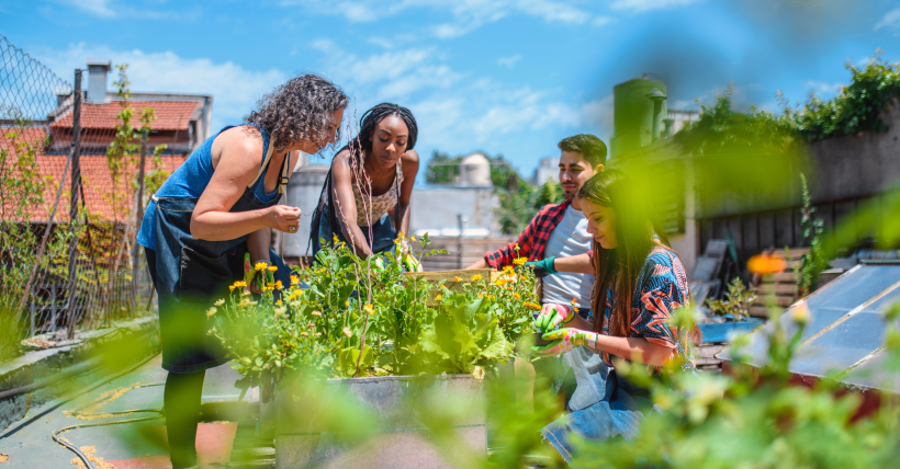 Getting to Know Your Neighbors: Connecting in Boston