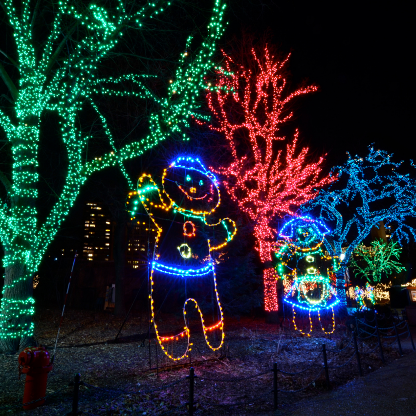 Holiday Lights Display in Petaluma