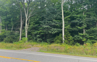 Galway, NY Featured Listing 0 NYS 29, Galway, NY 12074