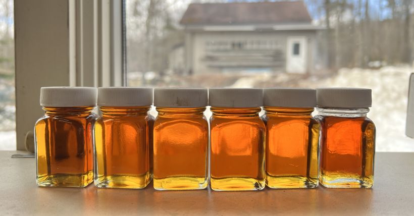 Maine Maple Sunday 2026