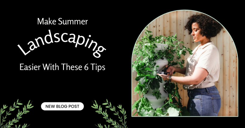 Make Summer Landscaping Easier With These 6 Tips