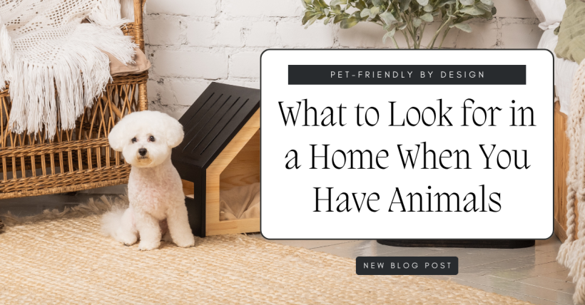 Pet-Friendly by Design: What to Look for in a Home When You Have Animals