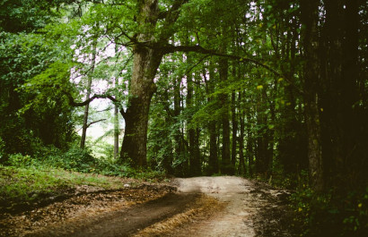 Roseville's Favorite Walking/Running/Biking Trails