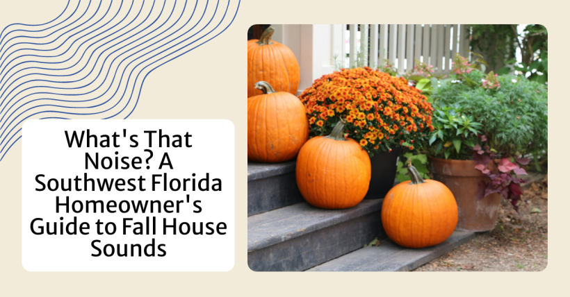 What's That Noise? A Southwest Florida Homeowner's Guide to Fall House Sounds