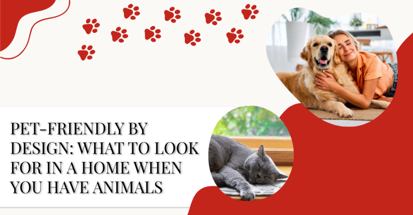 Pet-Friendly by Design: What to Look for in a Home When You Have Animals