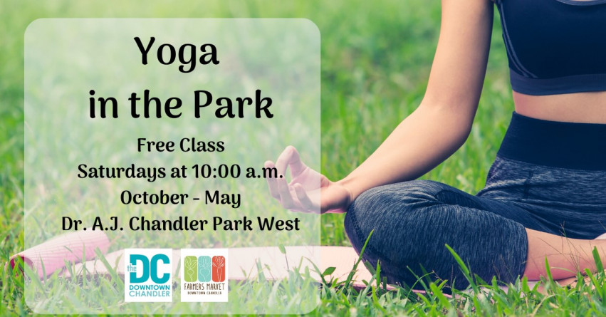 Yoga in the Park