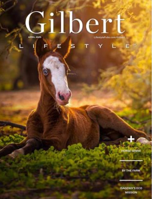 Gilbert Lifestyle Magazine - April
