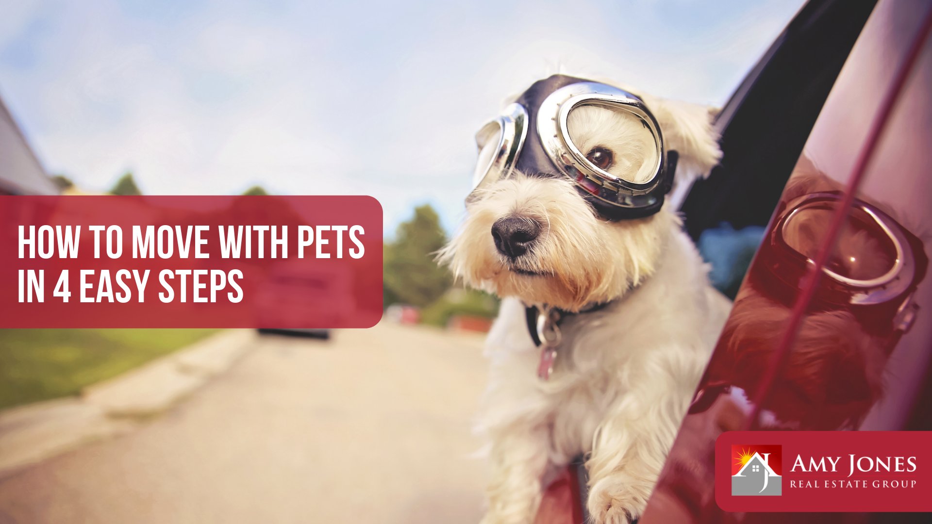 Take away the stress of moving with your pets
