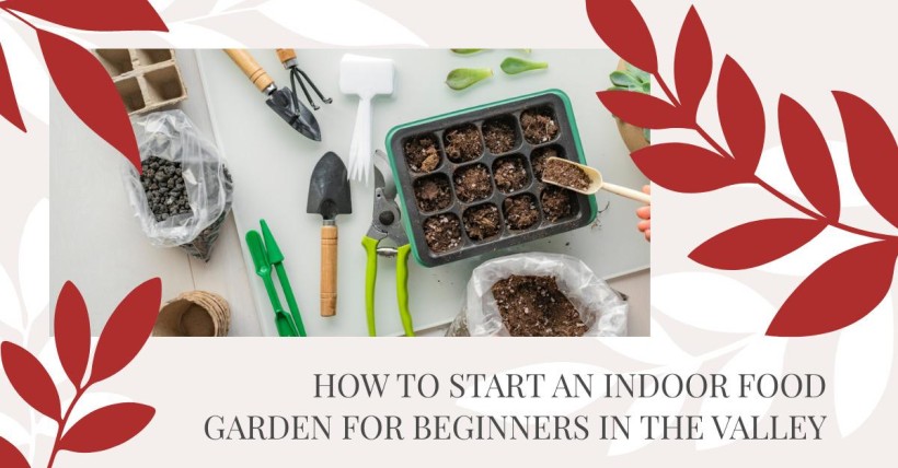 How to Start an Indoor Food Garden for Beginners in the Valley