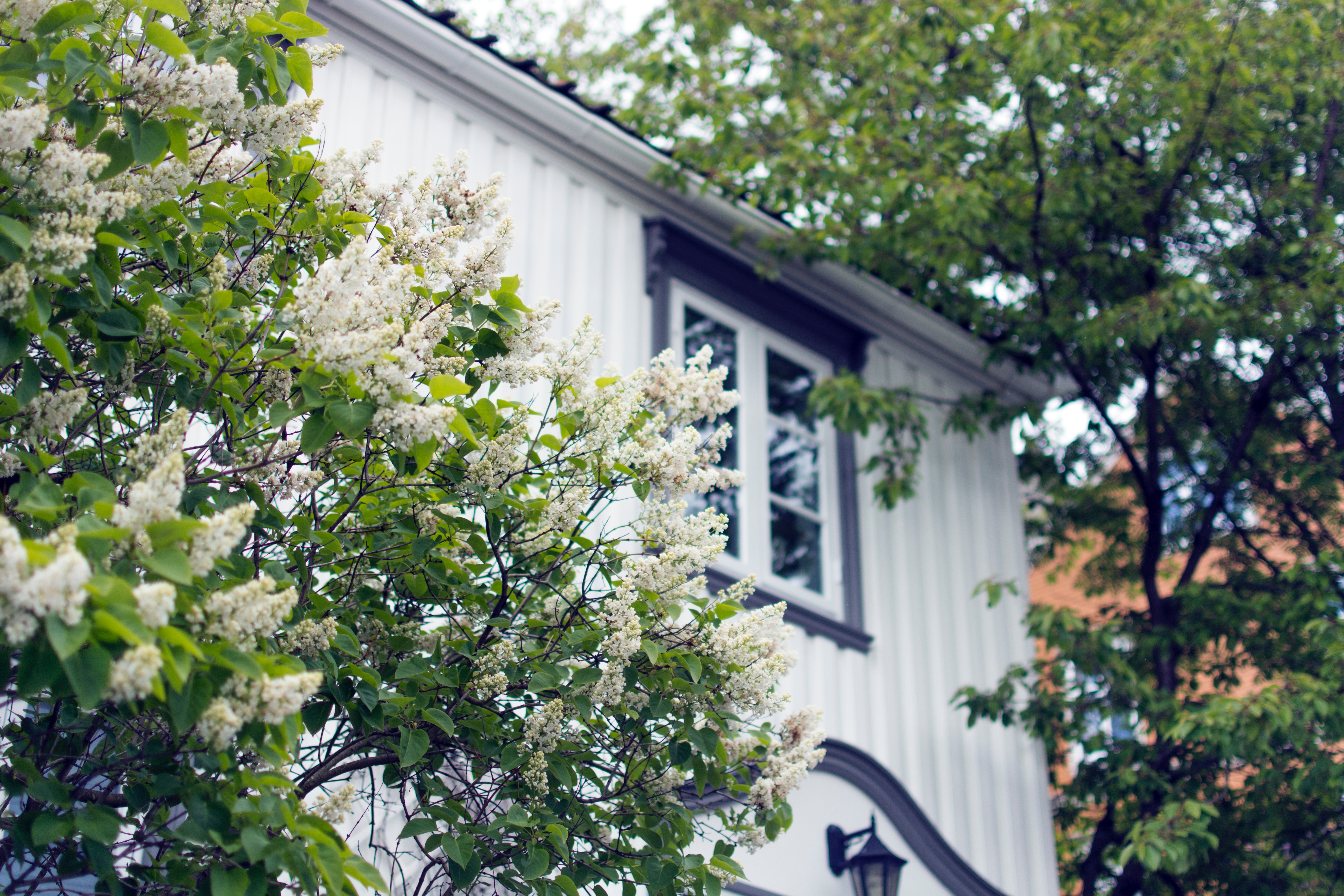 5 Things To LOVE About Buying A Home This Spring