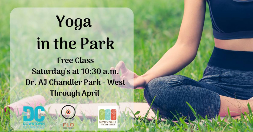 Yoga in the Park