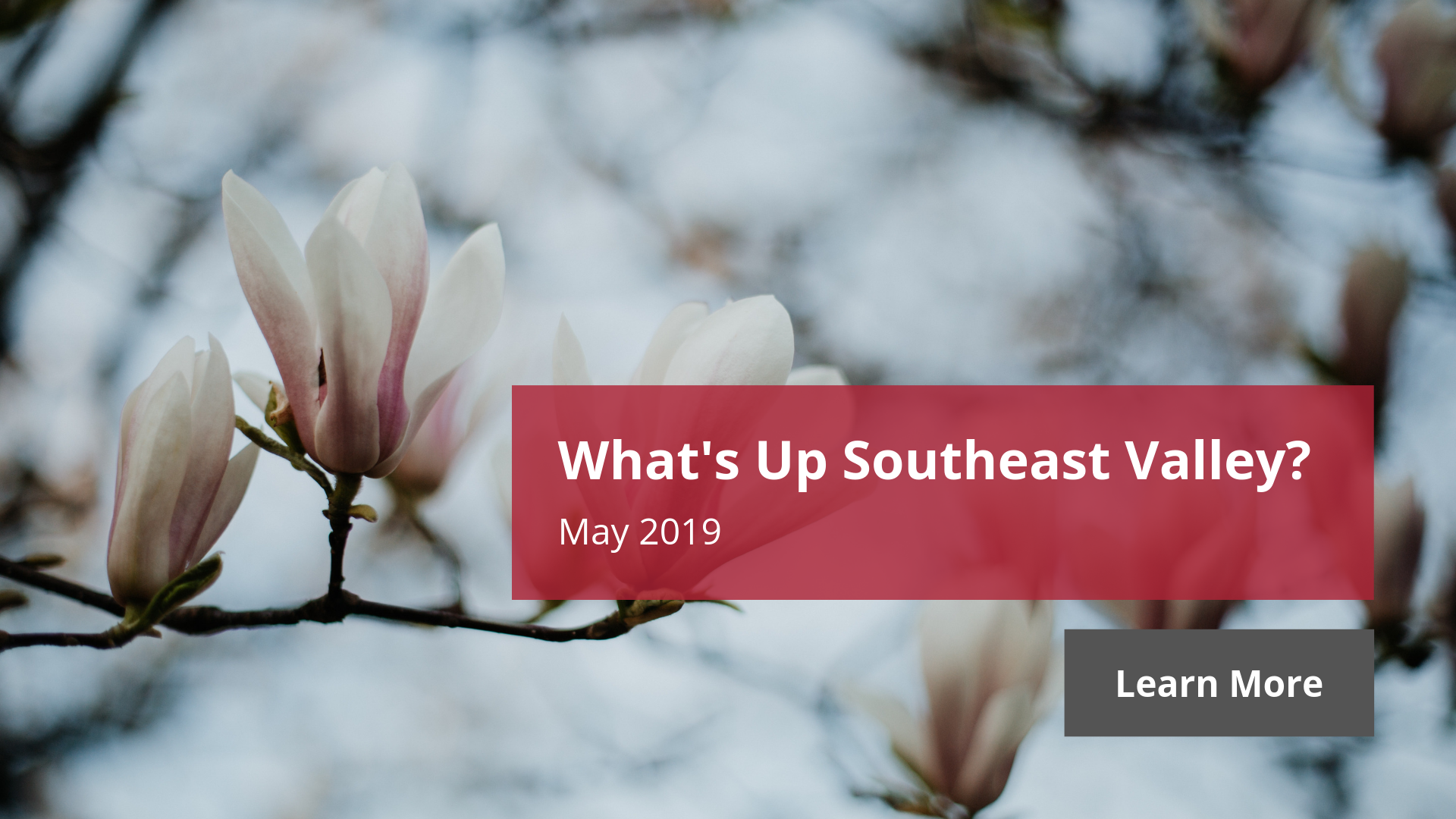 What's Up Southeast Valley? - May 2019 | Amy Jones Group   