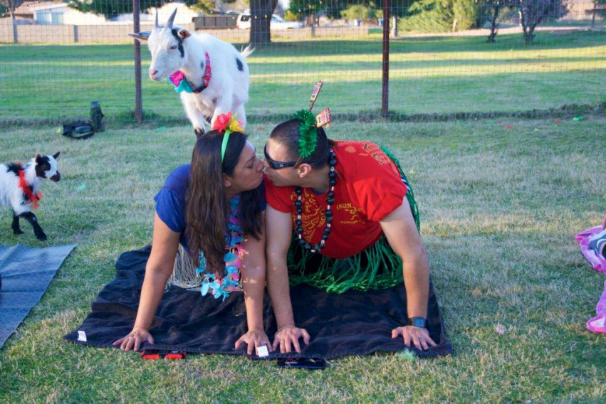 Goat Yoga