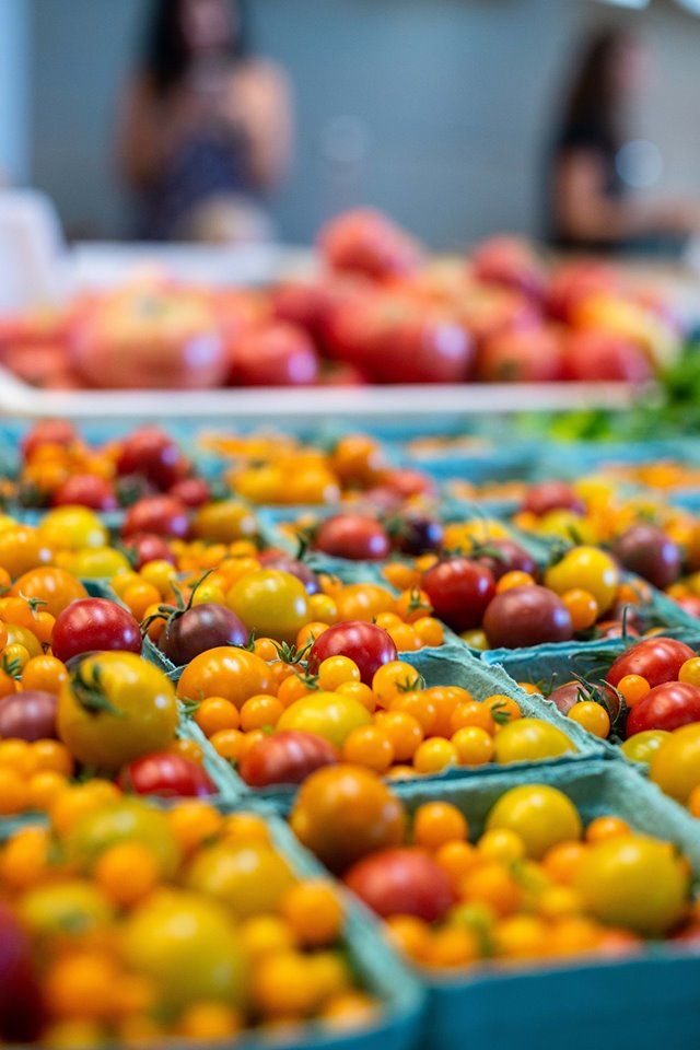 Tomato U-Pick