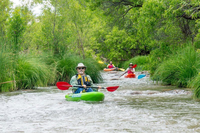 Kayak