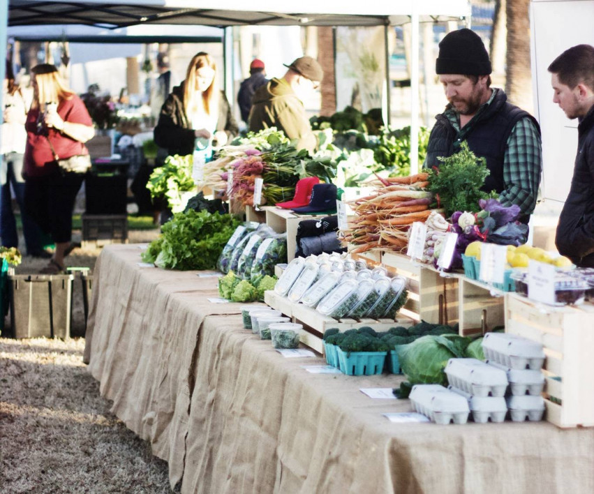 Mesa Farmer's Market