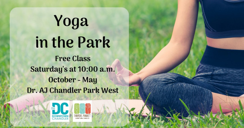 Yoga in the Park