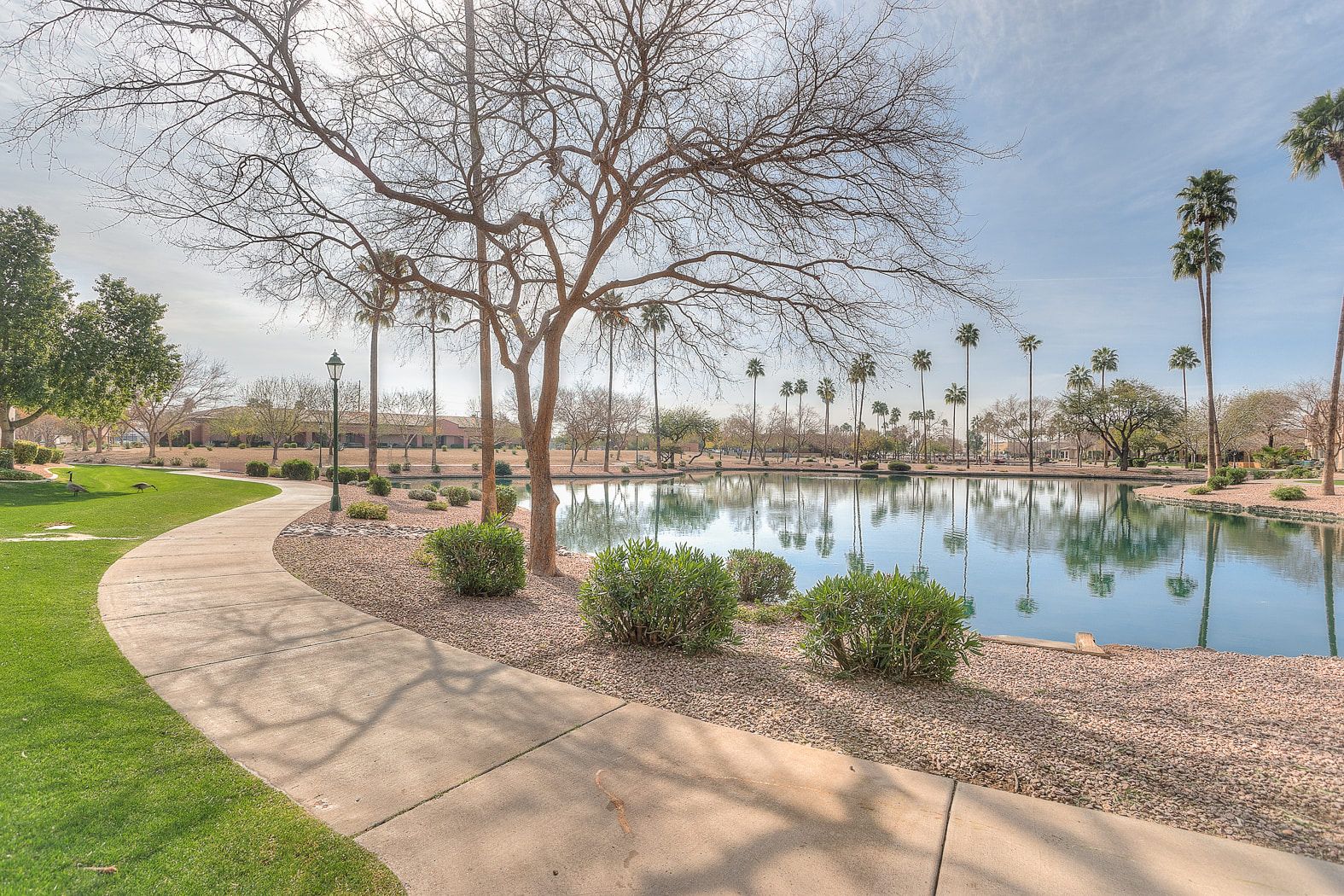 6535 E Superstition Springs Blvd 260 Mesa, AZ 85206 Superstition Lakes