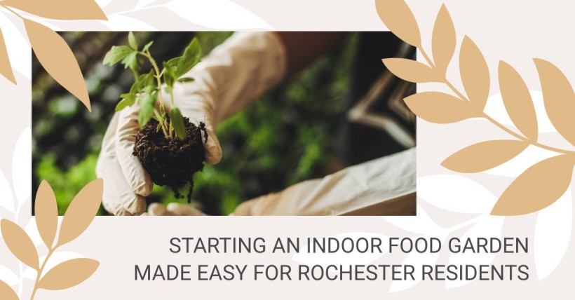 Starting an Indoor Food Garden Made Easy For Rochester Residents