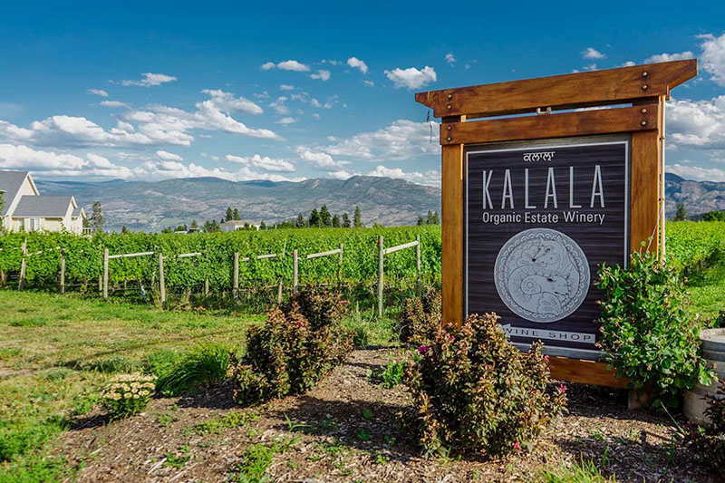Kalala Organic Estate Winery vineyards