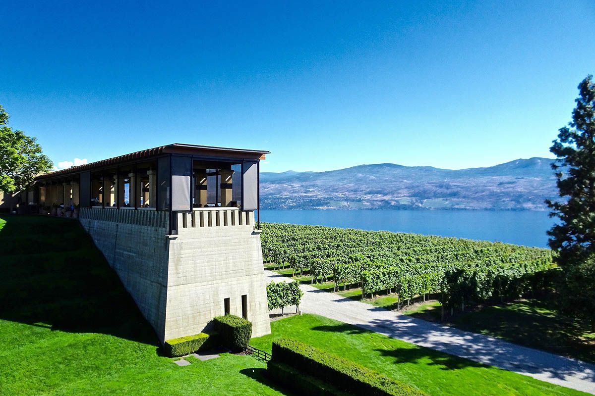 Kelowna, BC vineyard and lake view