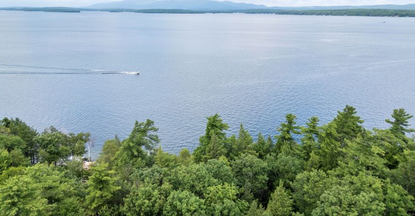 Lake Life Local Events August 11th - August 17th