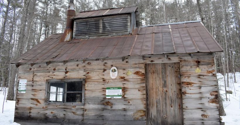 Lake Life Local Events March 23rd - March 29th