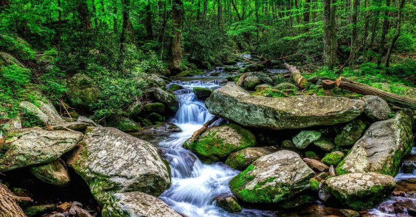 Roaring Fork Motor Trail