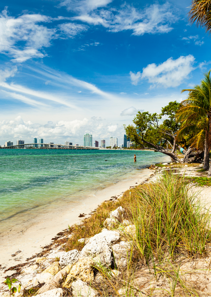 Things to Do in Key Biscayne : Florida 