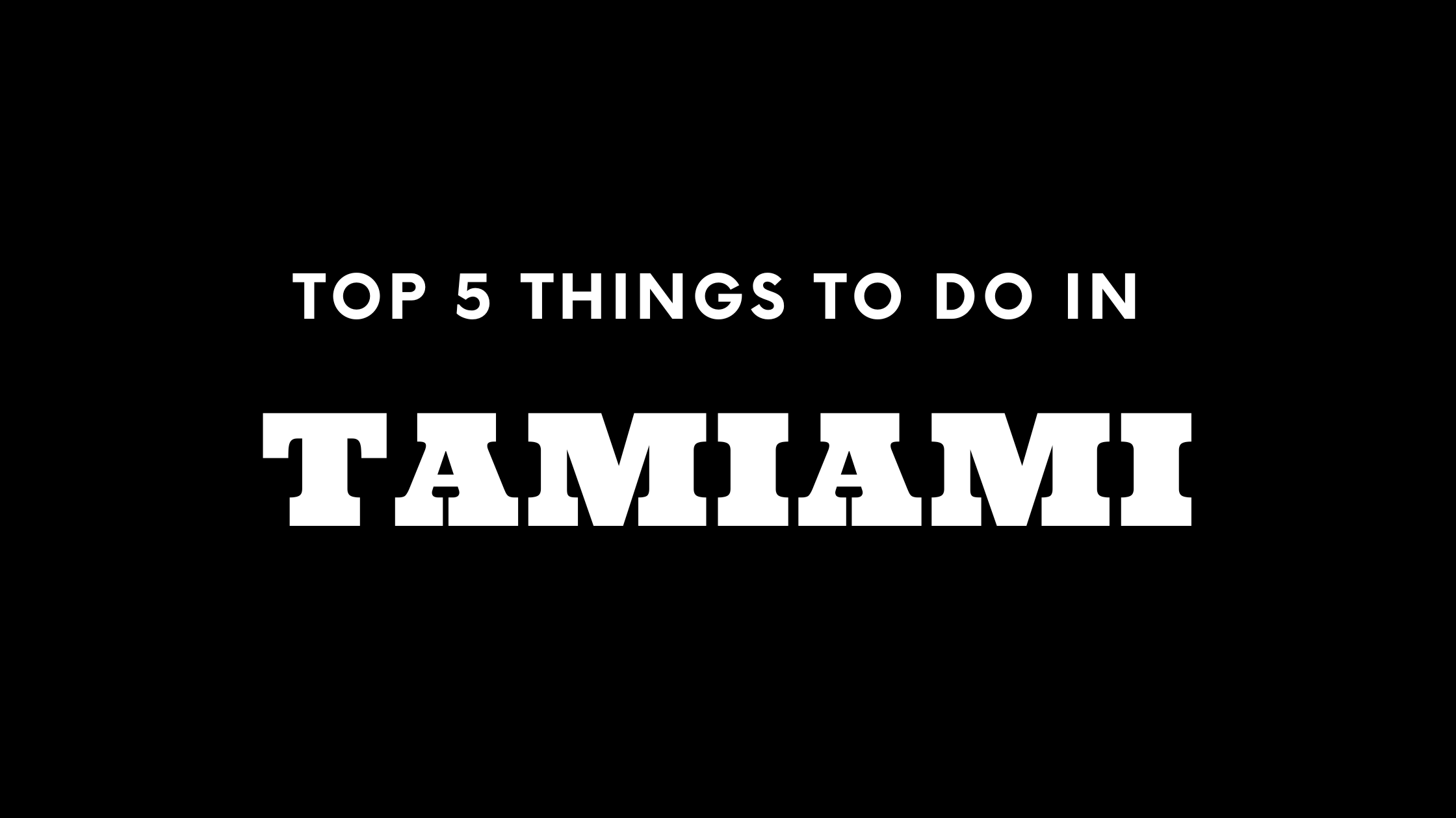 Top 5 Things To Do in Tamiami