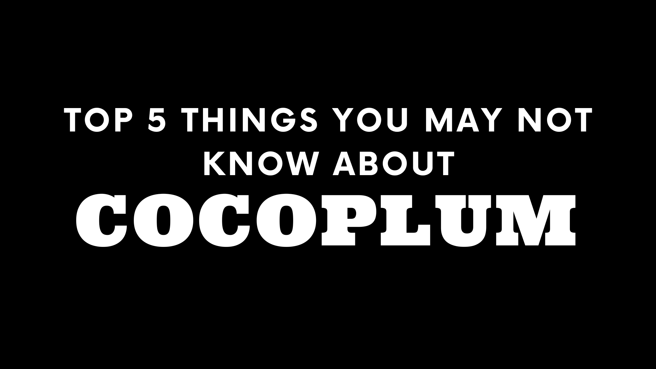 Top 5 Things You May Not Know About Cocoplum
