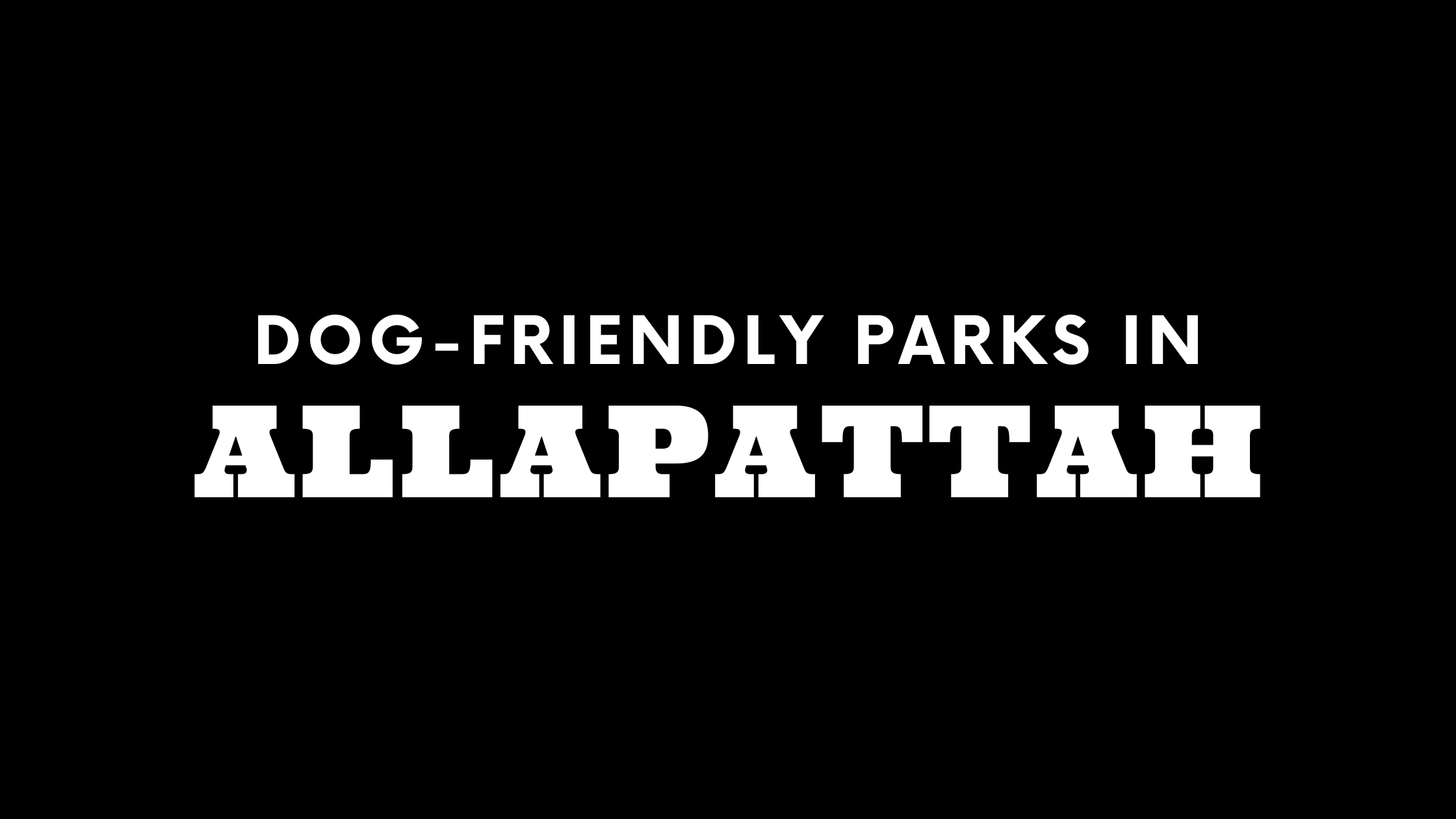 Dog-Friendly Parks in Allapattah