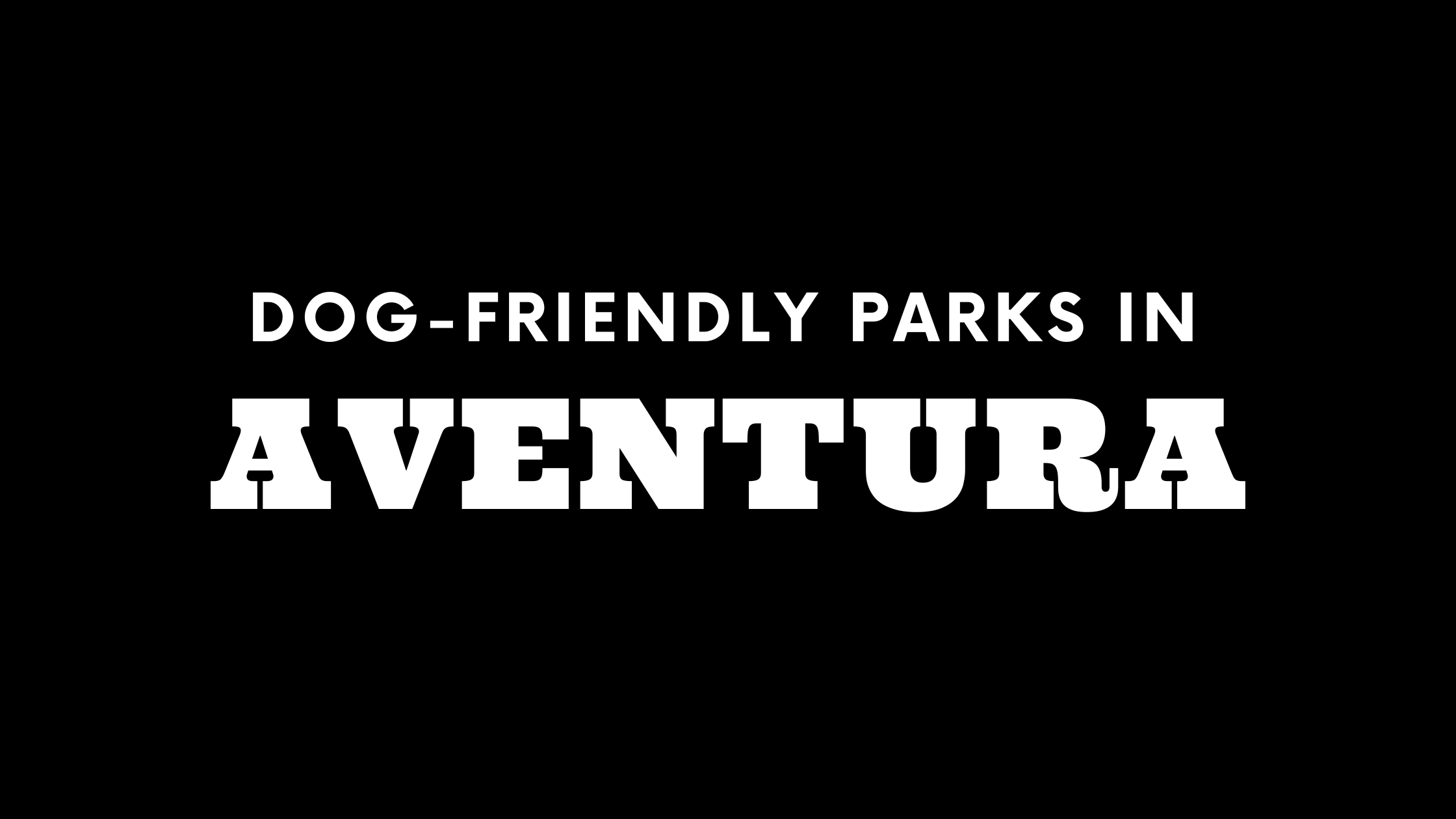 Dog-Friendly Parks in Aventura
