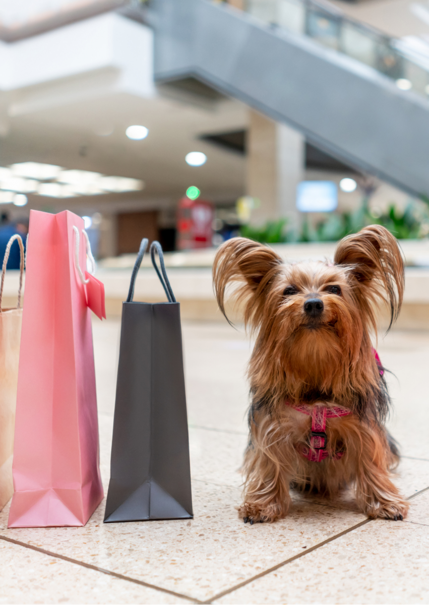 First-Class Getaway Bags - Bal Harbour Shops