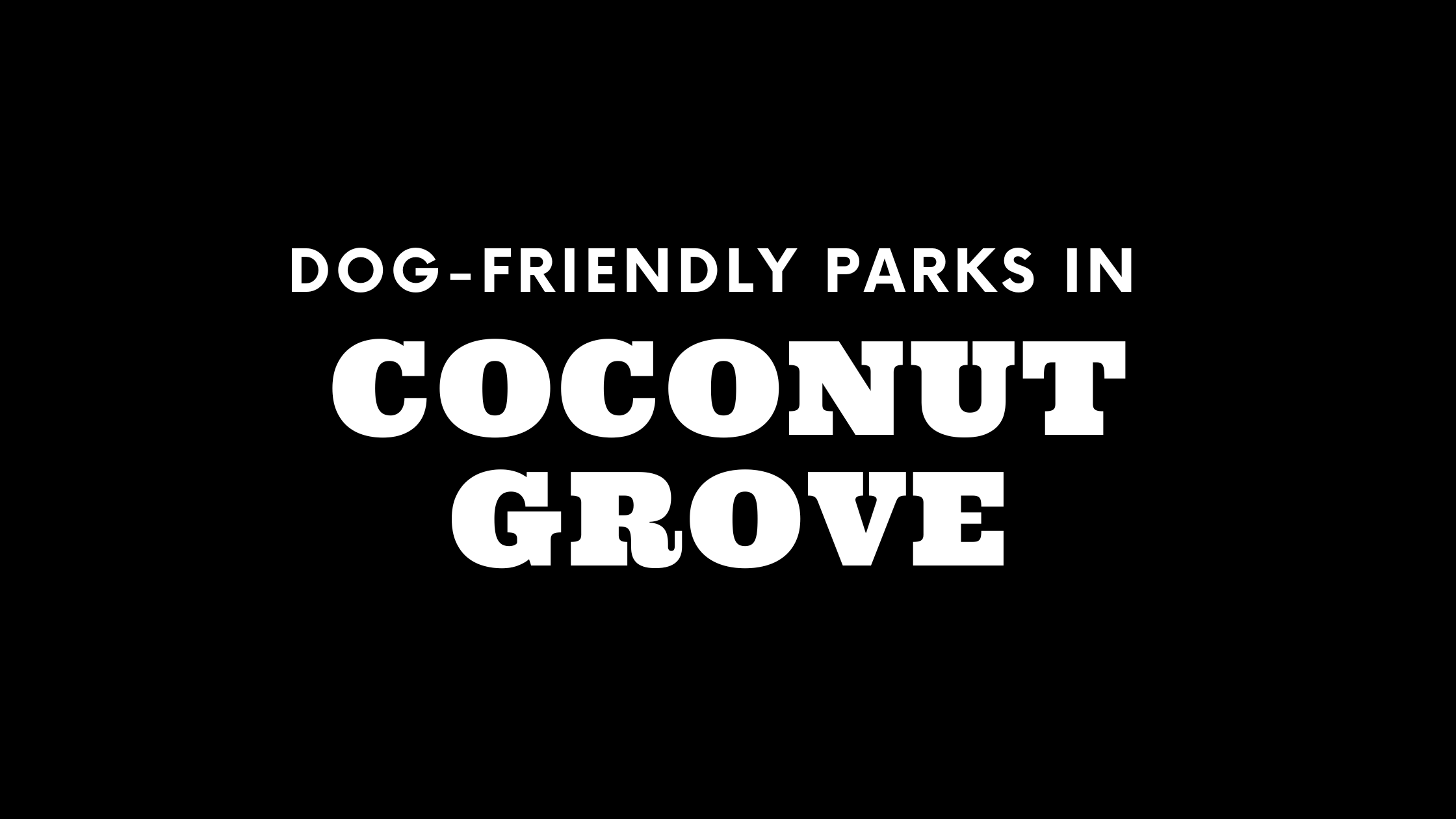 Dog-Friendly Parks in Coconut Grove