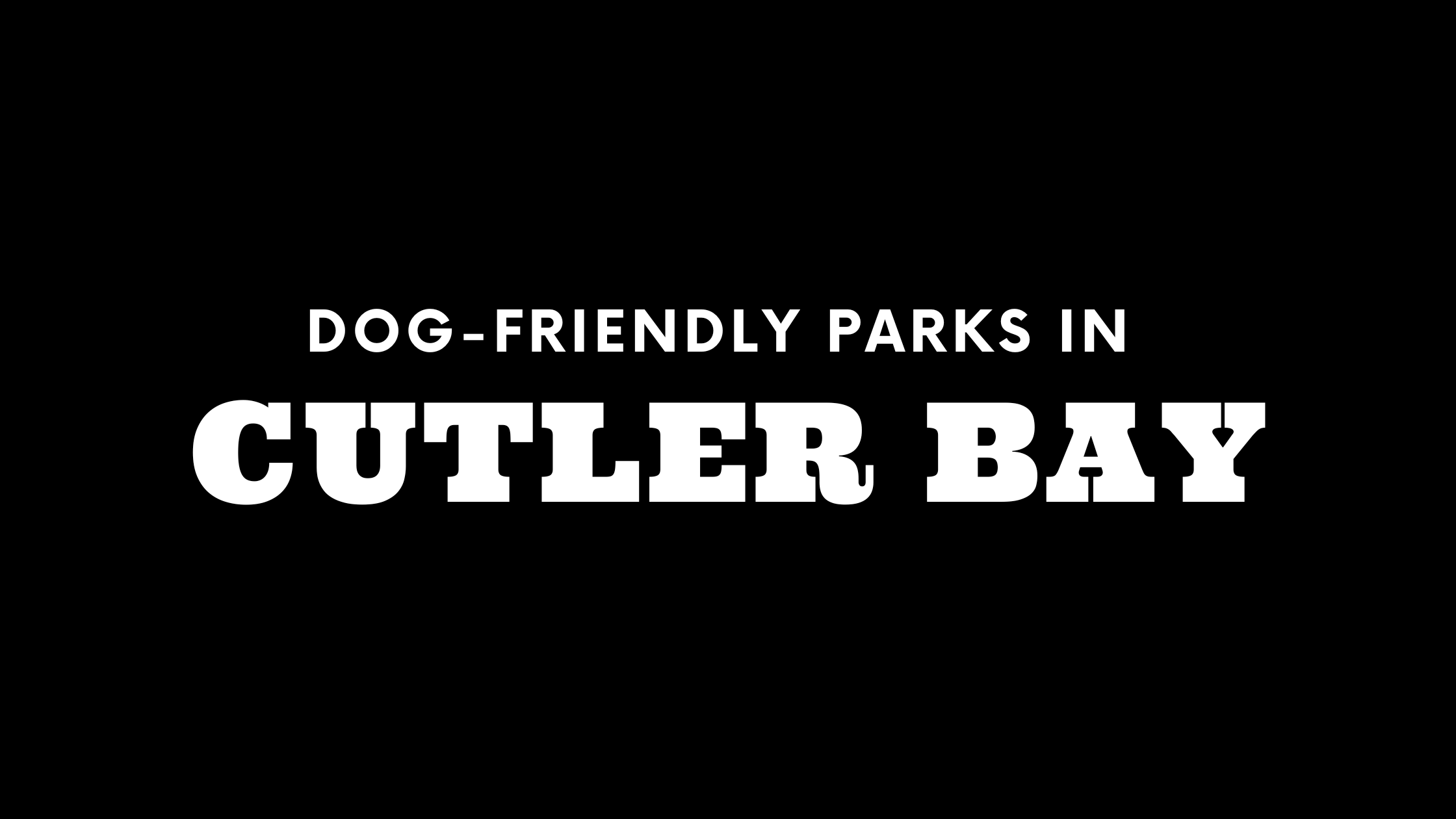 Dog-Friendly Parks in Cutler Bay