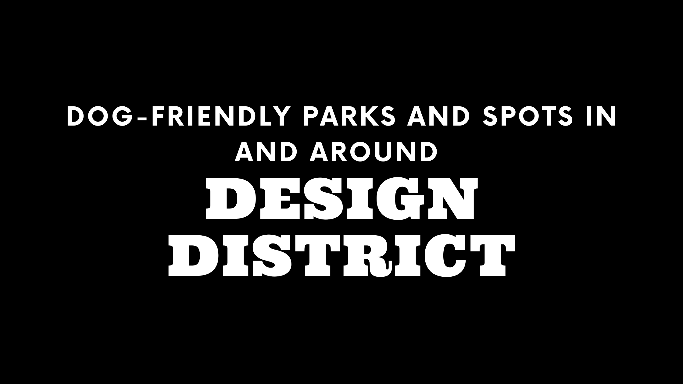 Dog-Friendly Florida: The Miami Design District Edition - Barkley