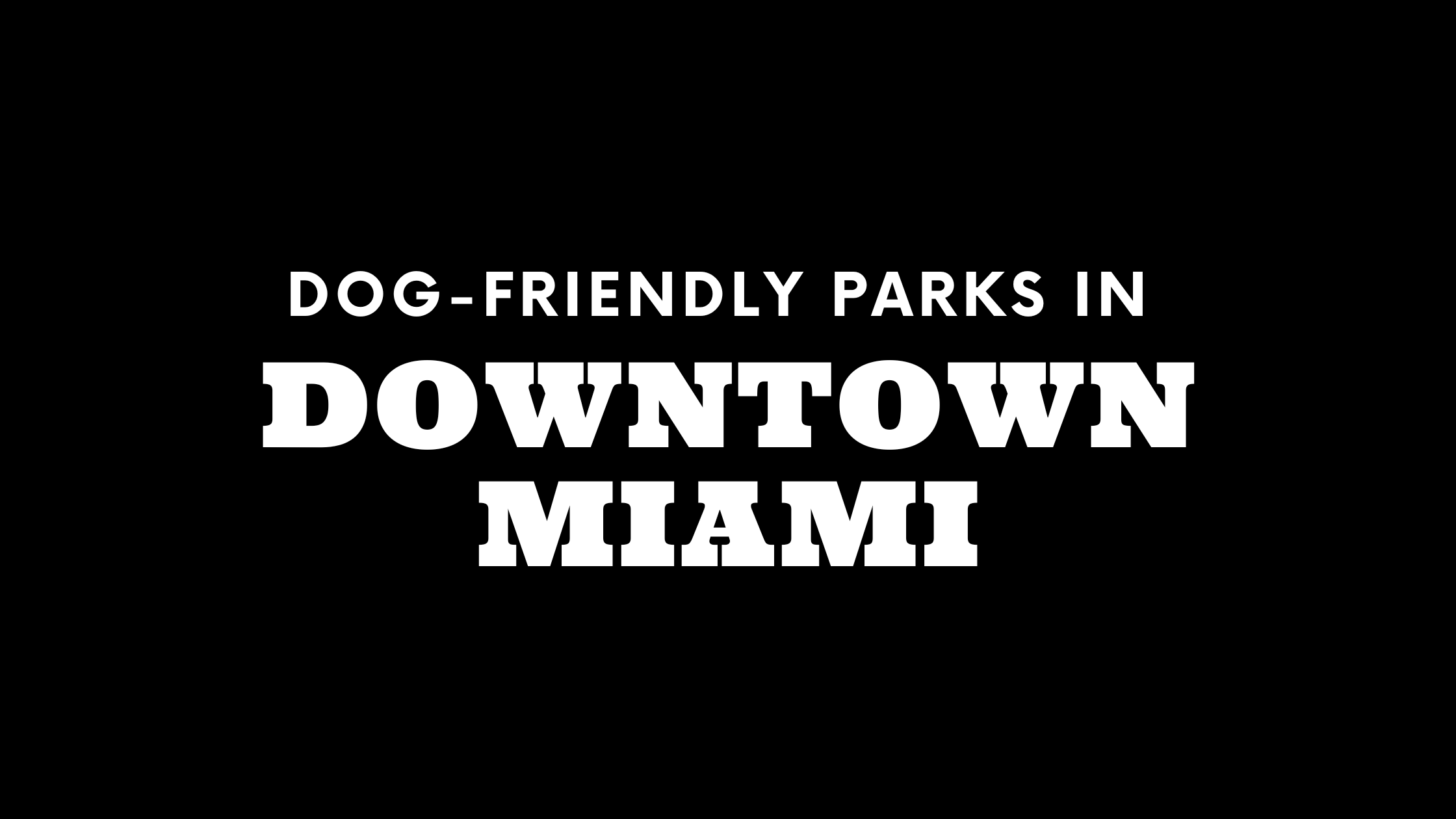 Dog-Friendly Parks in Downtown Miami