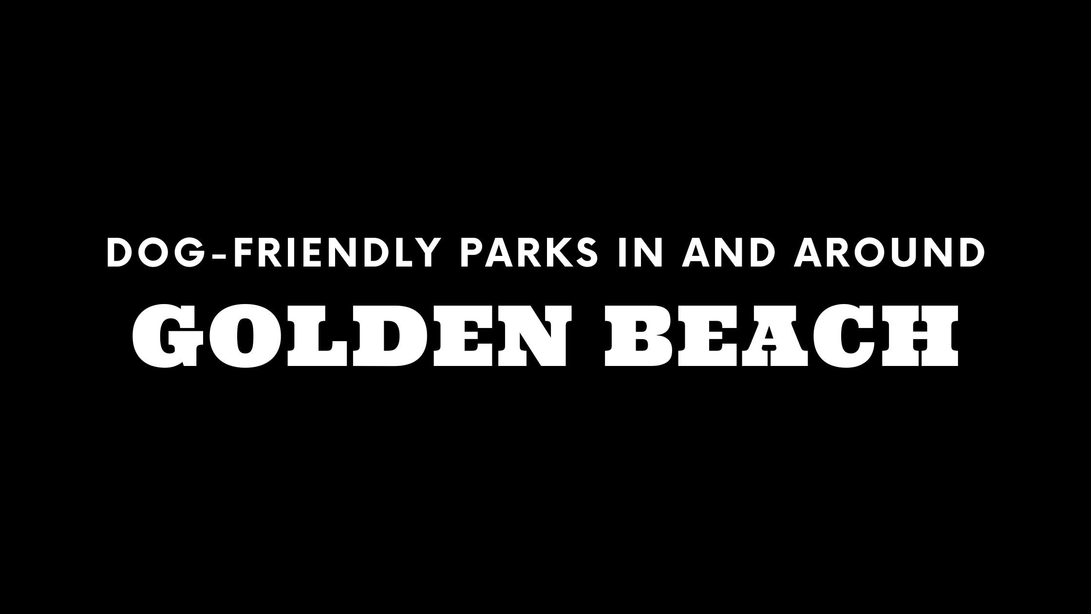 Dog-Friendly Parks In and Around Golden Beach