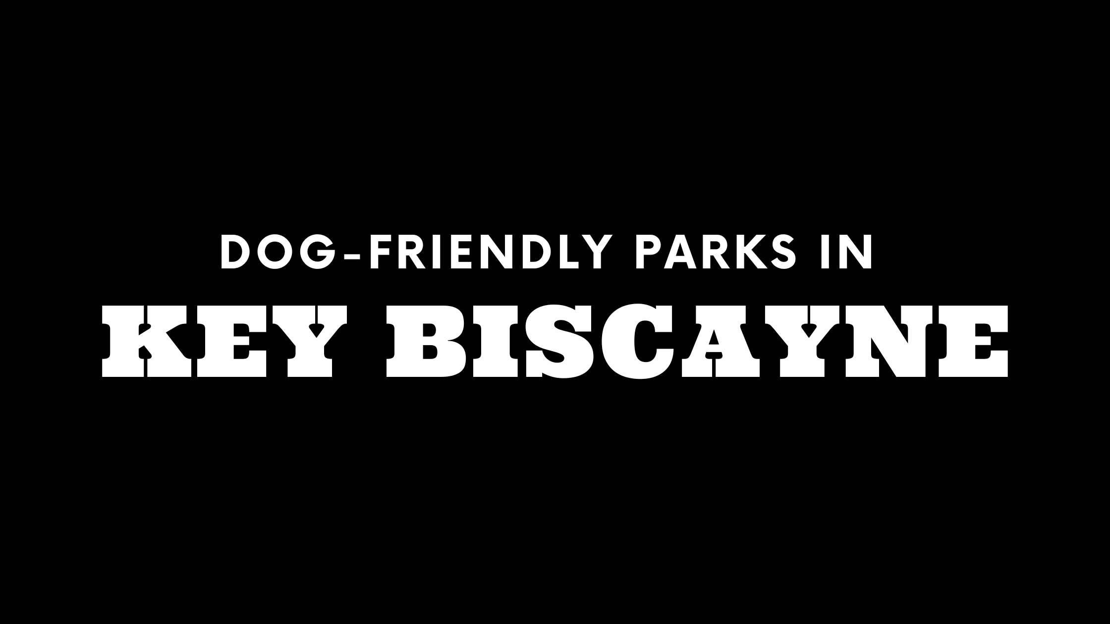 Dog-Friendly Parks in Key Biscayne