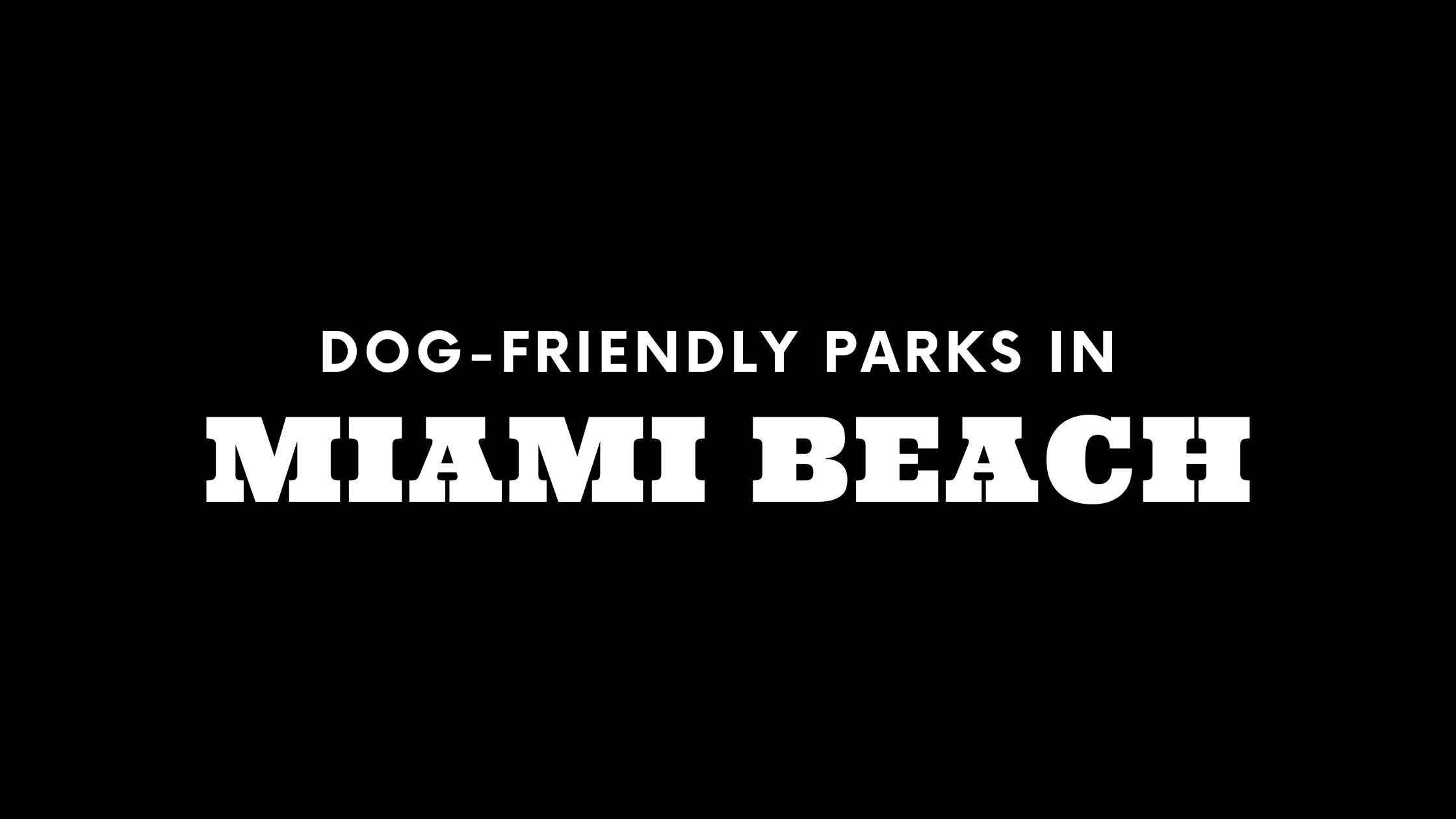 Dog-Friendly Parks in Miami Beach