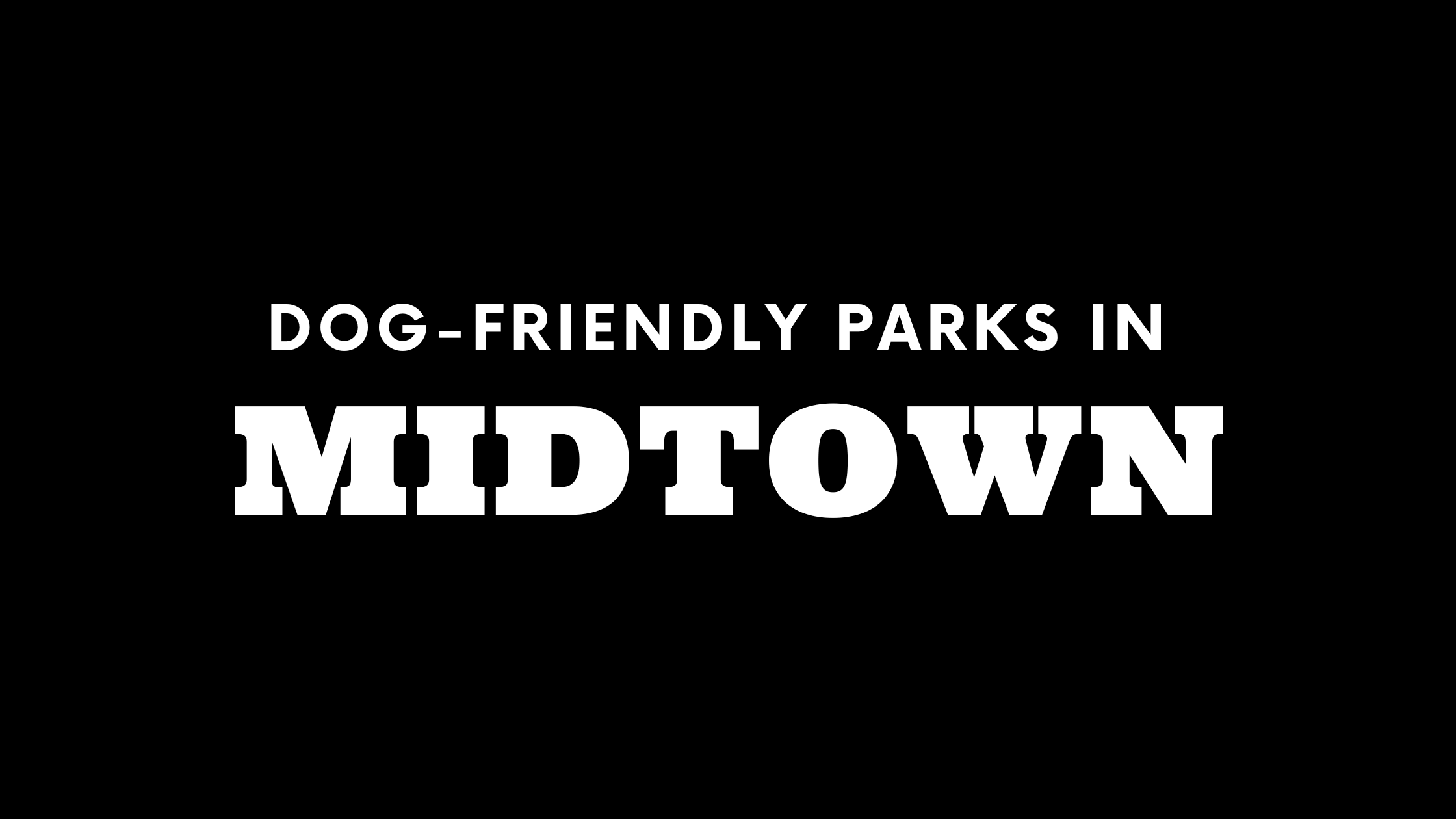 Dog-Friendly Parks in Midtown