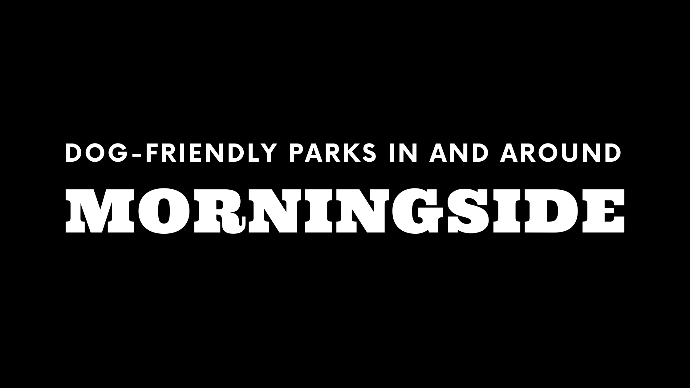 Dog-Friendly Parks In and Around Morningside