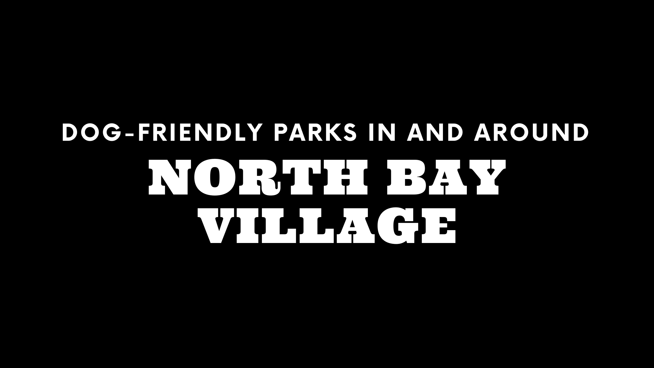 Dog-Friendly Parks In and Around North Bay Village