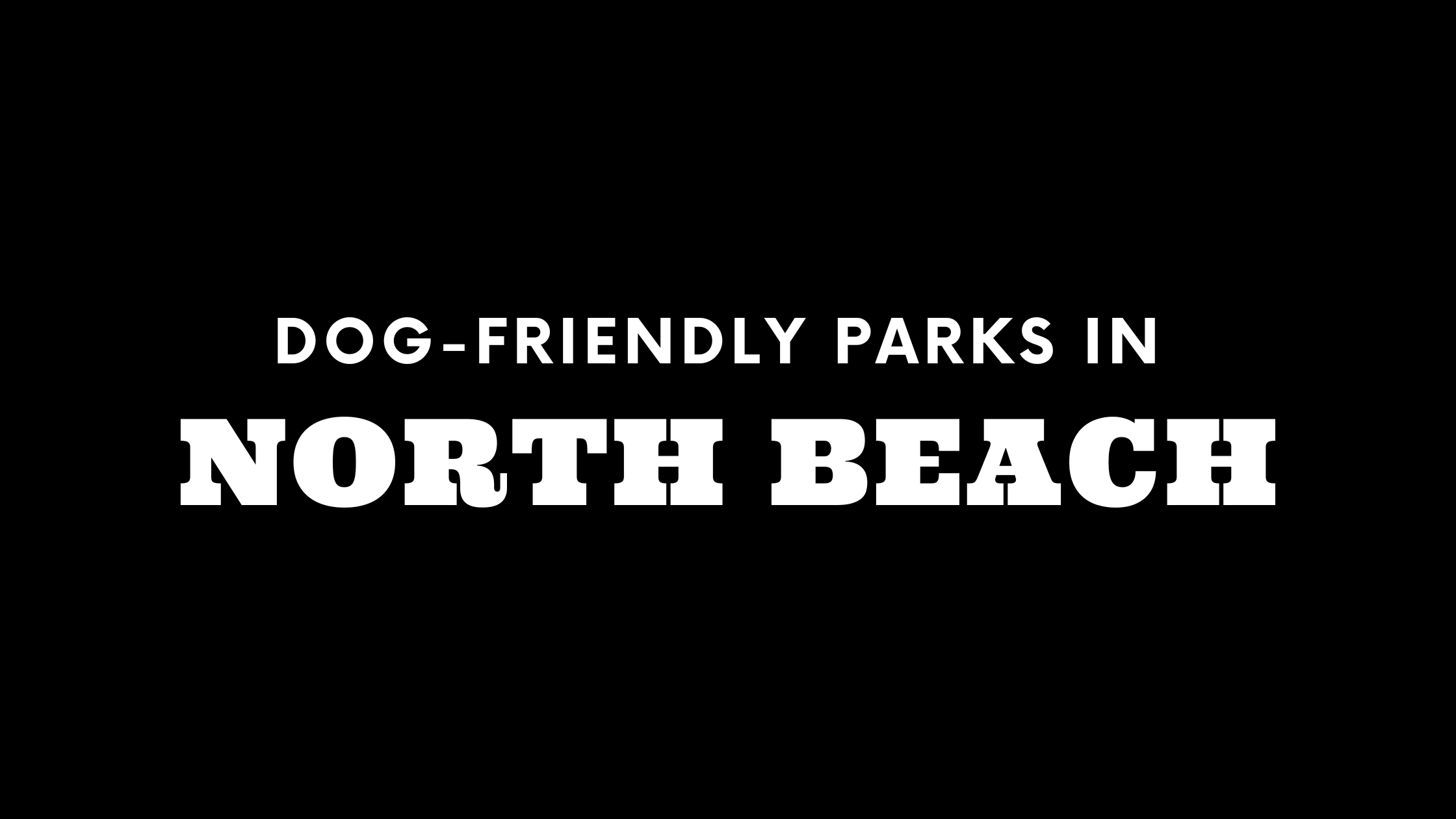 Dog-Friendly Parks in North Beach