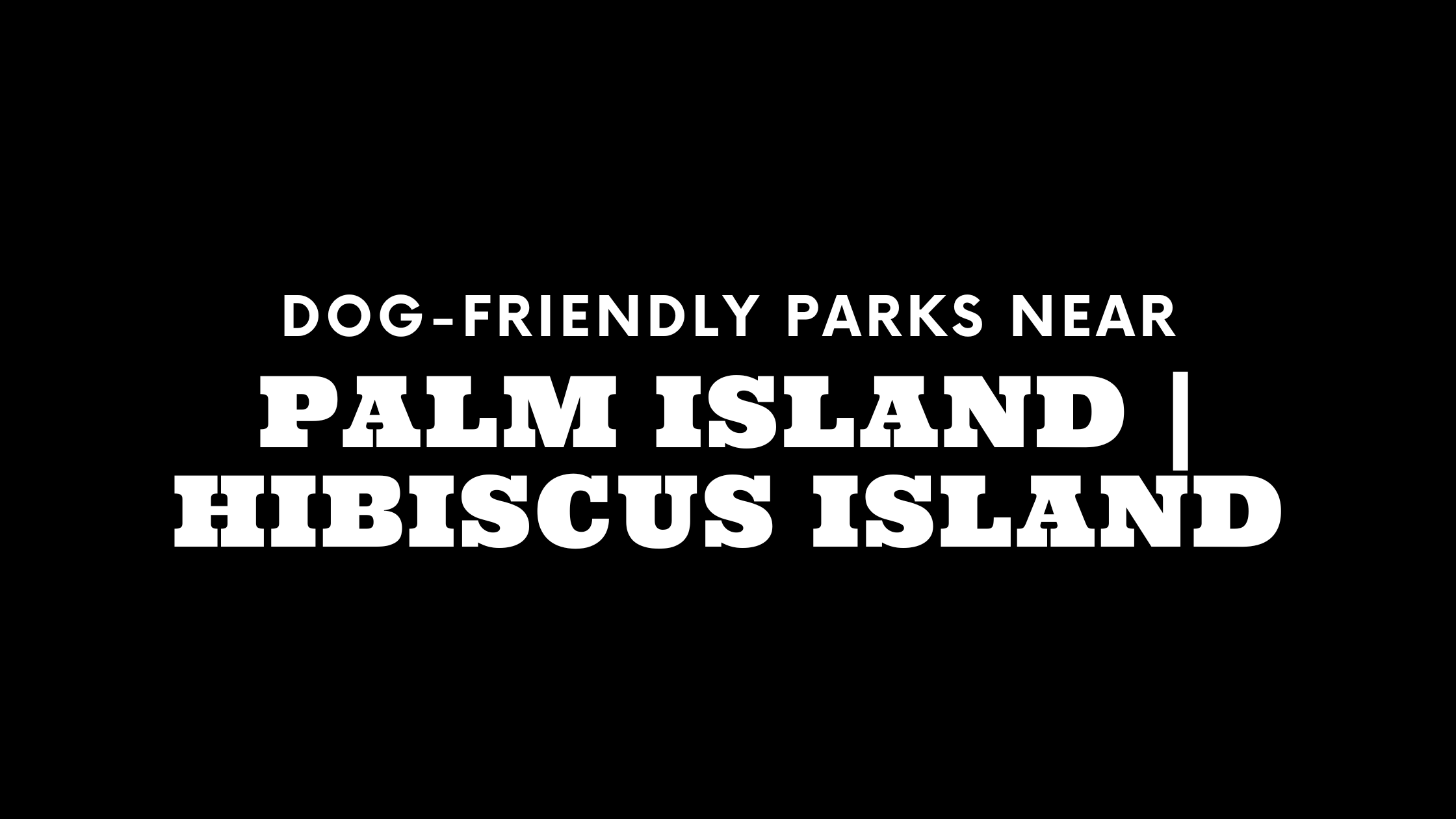 Dog-Friendly Parks Near Palm Island | Hibiscus Island