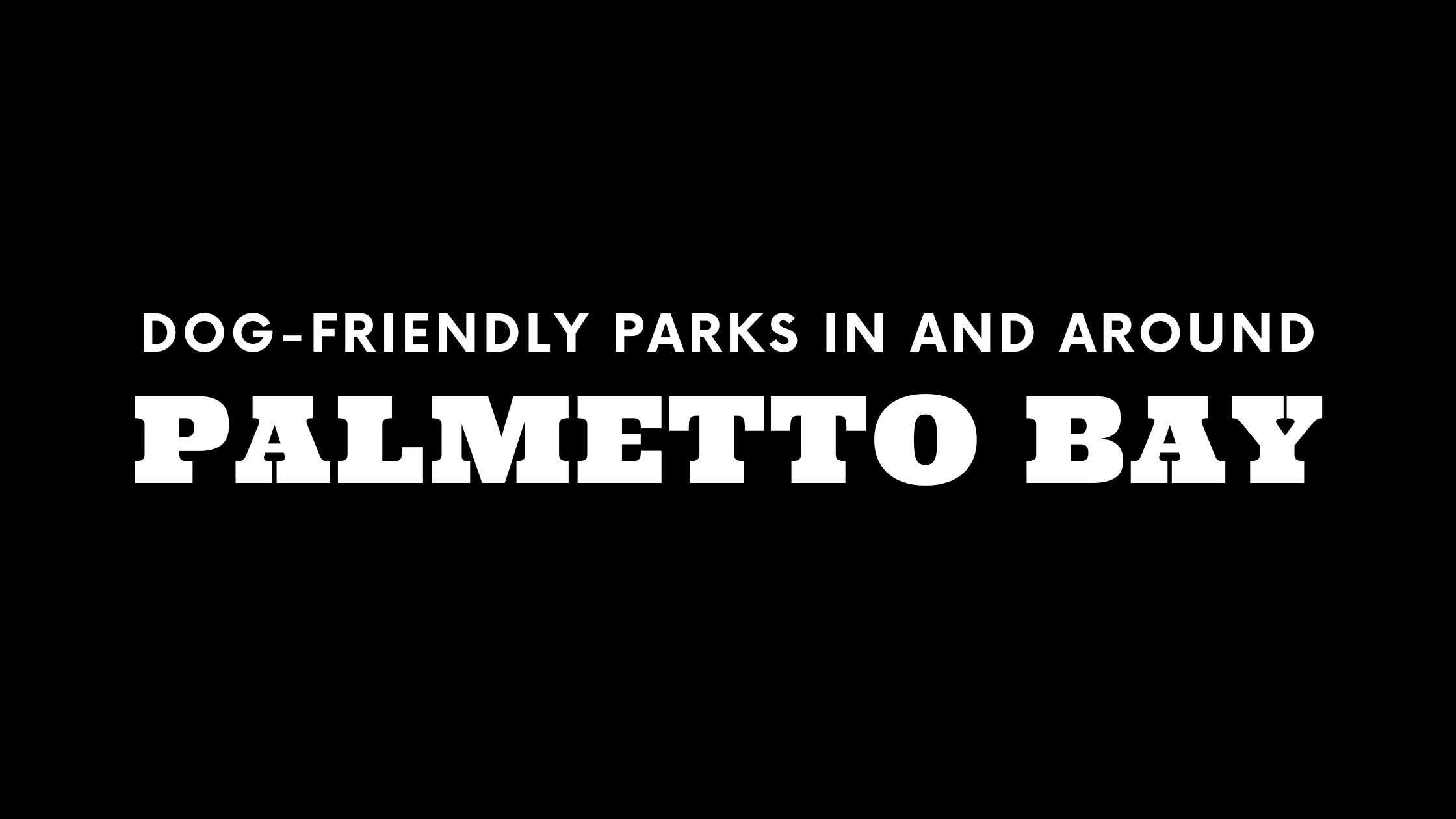 Dog-Friendly Parks In and Around Palmetto Bay