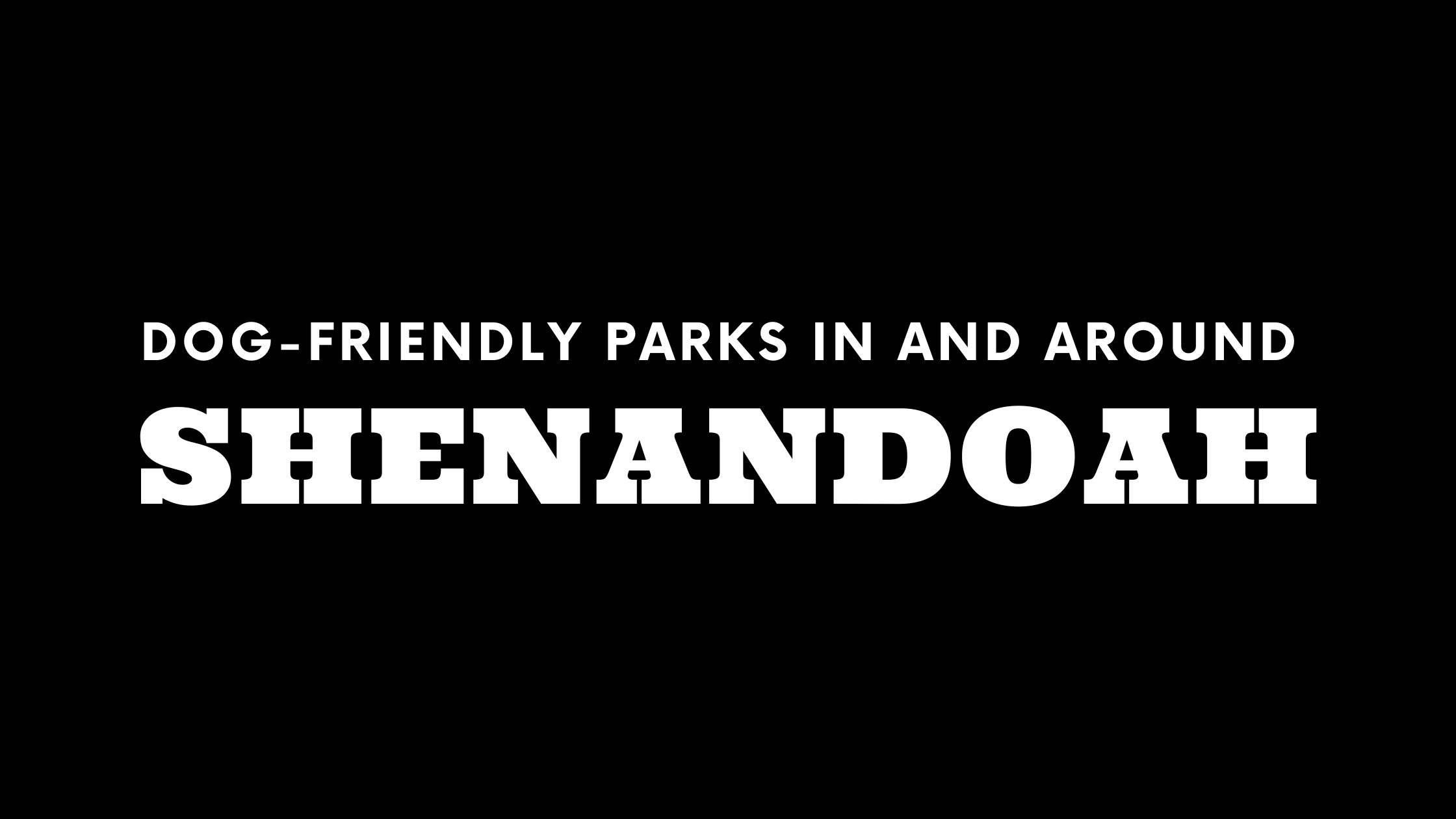 Dog-Friendly Parks In and Around Shenandoah