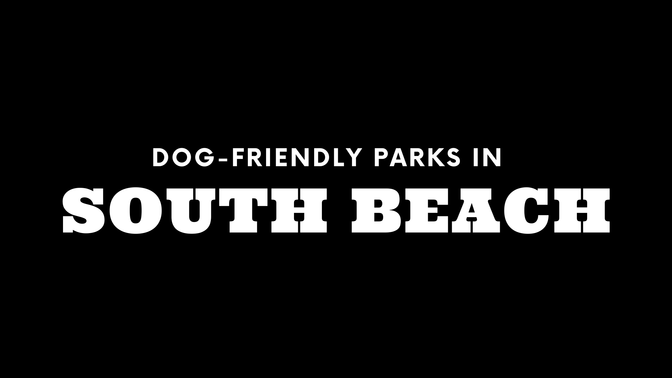 Dog-Friendly Parks in South Beach